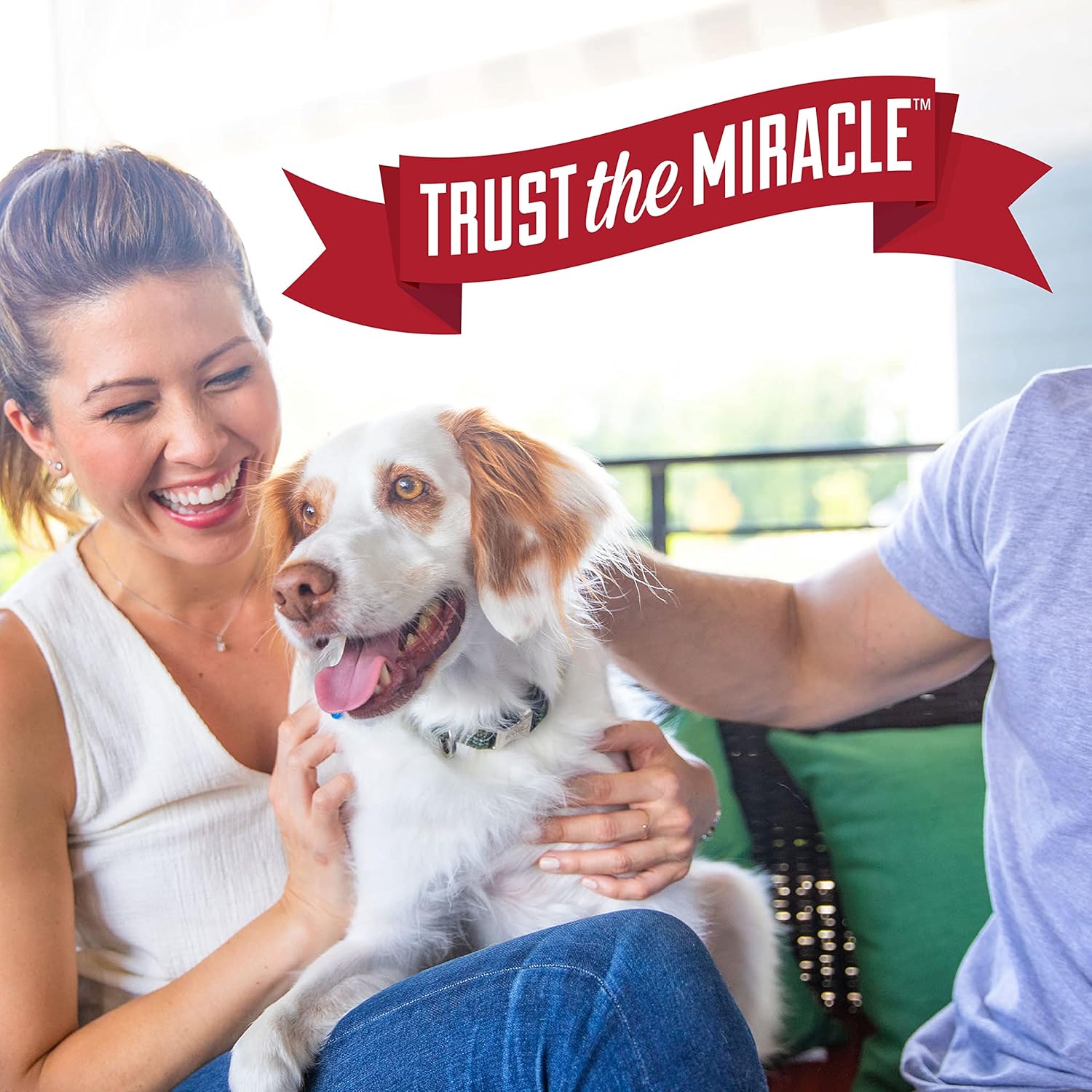 Nature's Miracle Advanced Platinum No More Marking, Helps Discourage Repetitive Dog Marking, 24 oz
