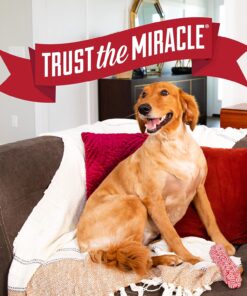Nature's Miracle Advanced Platinum No More Marking, Helps Discourage Repetitive Dog Marking, 24 oz