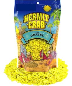 Needzo All in One Hermit Crab DIY Starter Pack, Gravel, Food, Mister Trainer, Sponge, and Palm Tree Feeder, Beginner Habitat Supplies Kit for Terrariums, Color May Vary, 5 Pieces