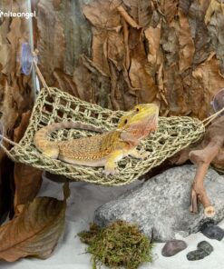 Niteangel Bearded Dragon Hammock Reptile Lounger for Chameleon, Lizards, Gecko, Snakes, Lguana Reptiles, Geckos (Triangle 17'' x 12.5'')