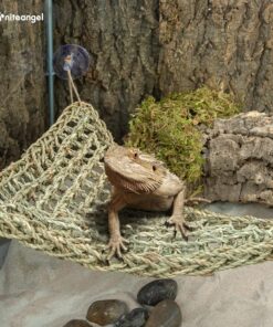 Niteangel Bearded Dragon Hammock Reptile Lounger for Chameleon, Lizards, Gecko, Snakes, Lguana Reptiles, Geckos (Triangle 17'' x 12.5'')