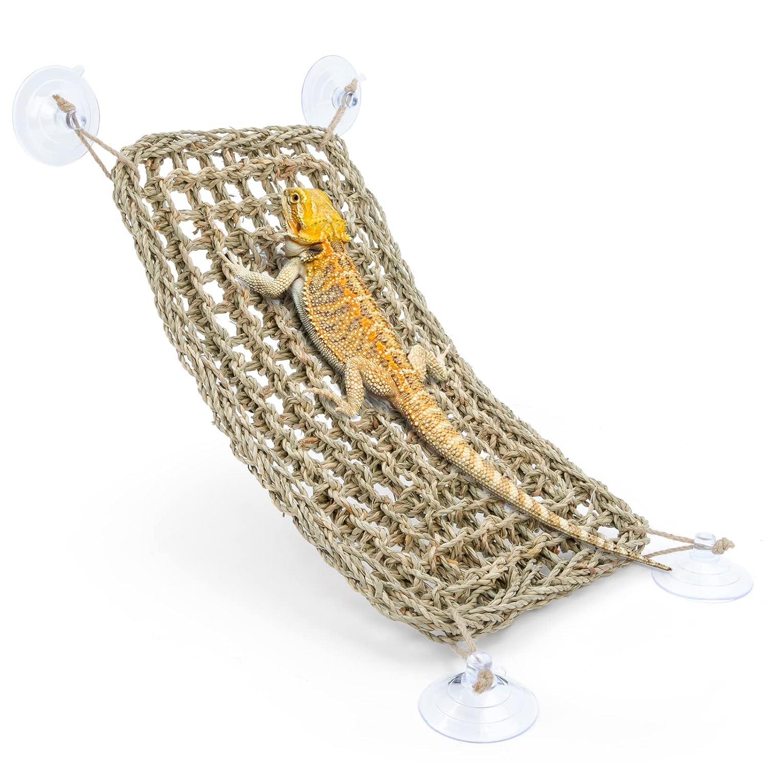 Niteangel Bearded Dragon Hammock Reptile Lounger for Chameleon, Lizards, Gecko, Snakes, Lguana Reptiles, Geckos (Triangle 17'' x 12.5'')