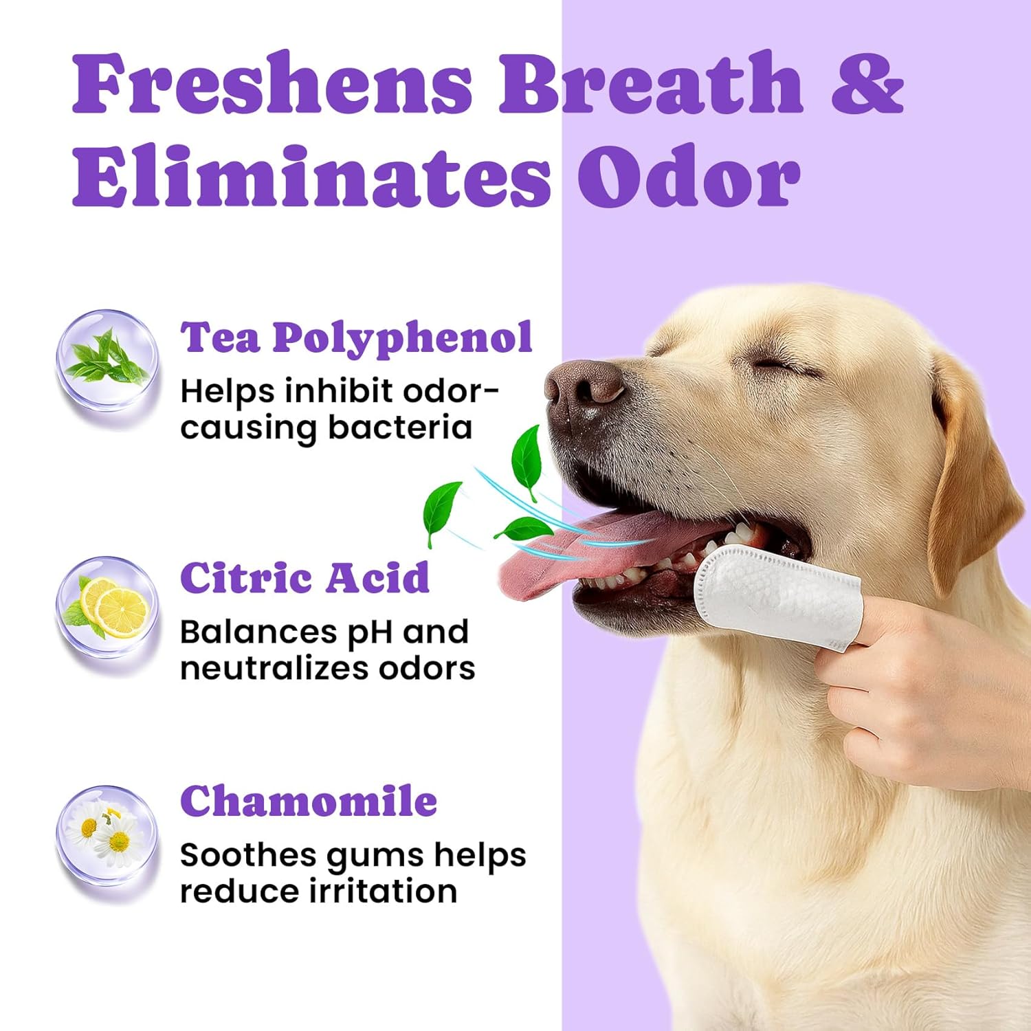 No-Rinse Dog Dental Care Wipes, Cat & Dog tooth brushing kit, Dog Wipes for Pet & Cat Teeth Cleaning, Dog toothbrush Finger Dental Wipes to Remove Plaque & Tartar, Disposable...
