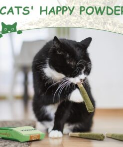 Nocciola 3 Pack Catnip Toys for Cats, Funny Cat Toys Filled with 100% Pure Organic Catnip, Safe Kitten Teething Chew and Kicker Toys, Stress Relieving Fun for Indoor Cats