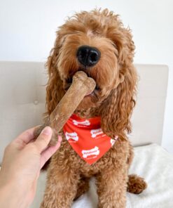 Nylabone Healthy Edibles Natural Dog Chews Long Lasting Chicken Flavor Treats for Dogs, Medium/Wolf (2 Count)
