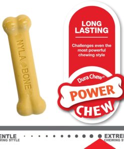 Nylabone New Puppy Starter Kit, Puppy Teething Toys, Chew Bones for Puppies, Peanut Butter & Chicken Flavor, X-Small Dogs - Up to 15 lbs., 2 Pack