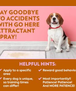 OUT! PetCare Go Here Attractant Dog and Puppy Potty Training Spray, Safe & Effective Puppy Pee Spray, Dog Housebreaking Supplies, Indoor and Outdoor House Training Tool, 32 oz