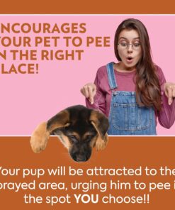 OUT! PetCare Go Here Attractant Dog and Puppy Potty Training Spray, Safe & Effective Puppy Pee Spray, Dog Housebreaking Supplies, Indoor and Outdoor House Training Tool, 32 oz