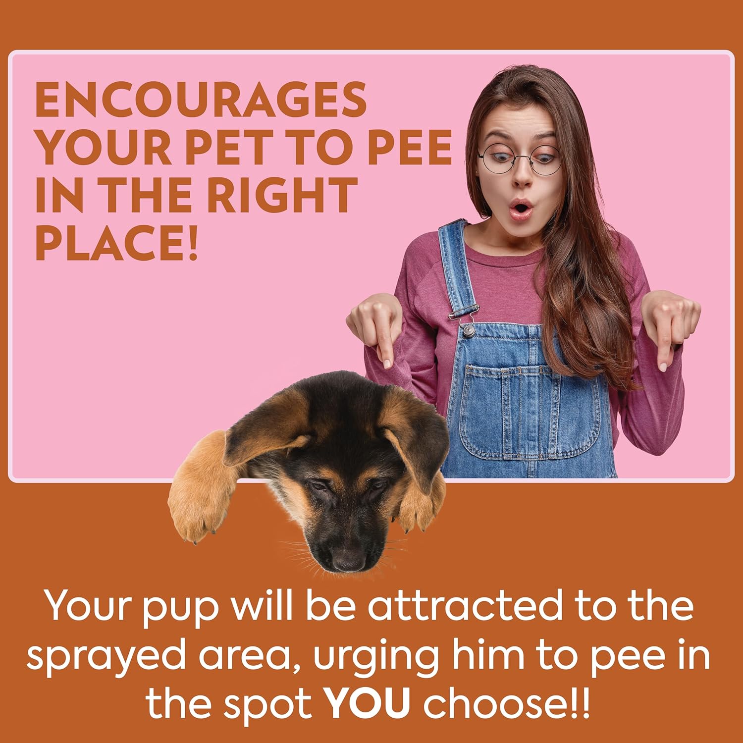 OUT! PetCare Go Here Attractant Dog and Puppy Potty Training Spray, Safe & Effective Puppy Pee Spray, Dog Housebreaking Supplies, Indoor and Outdoor House Training Tool, 32 oz