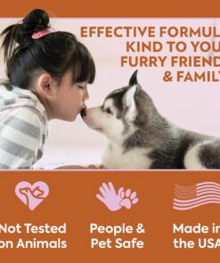 OUT! PetCare Go Here Attractant Dog and Puppy Potty Training Spray, Safe & Effective Puppy Pee Spray, Dog Housebreaking Supplies, Indoor and Outdoor House Training Tool, 32 oz