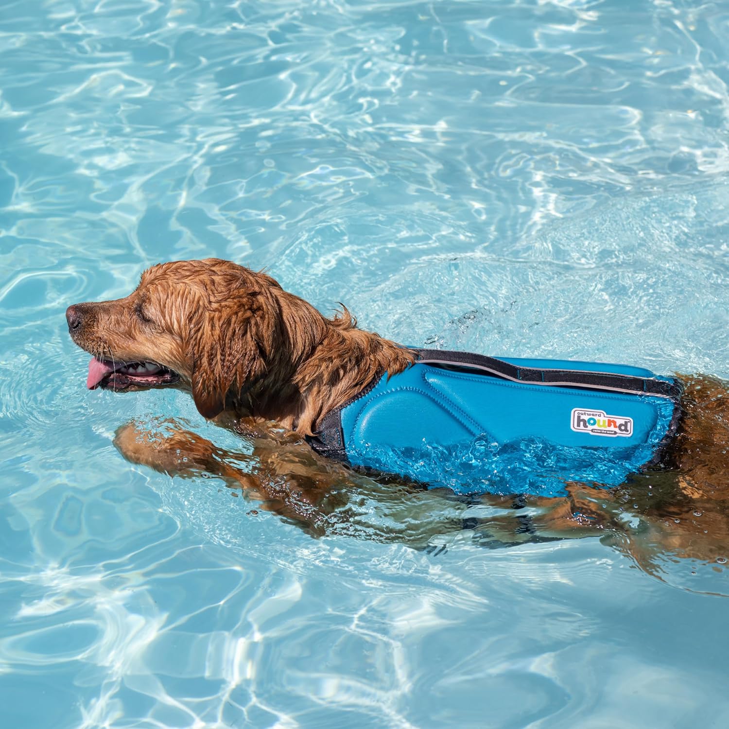 Outward Hound Dawson Swim Blue Dog Life Jacket, XS