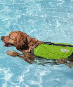 Outward Hound Dawson Swim Dog Life Jacket, Green, Large