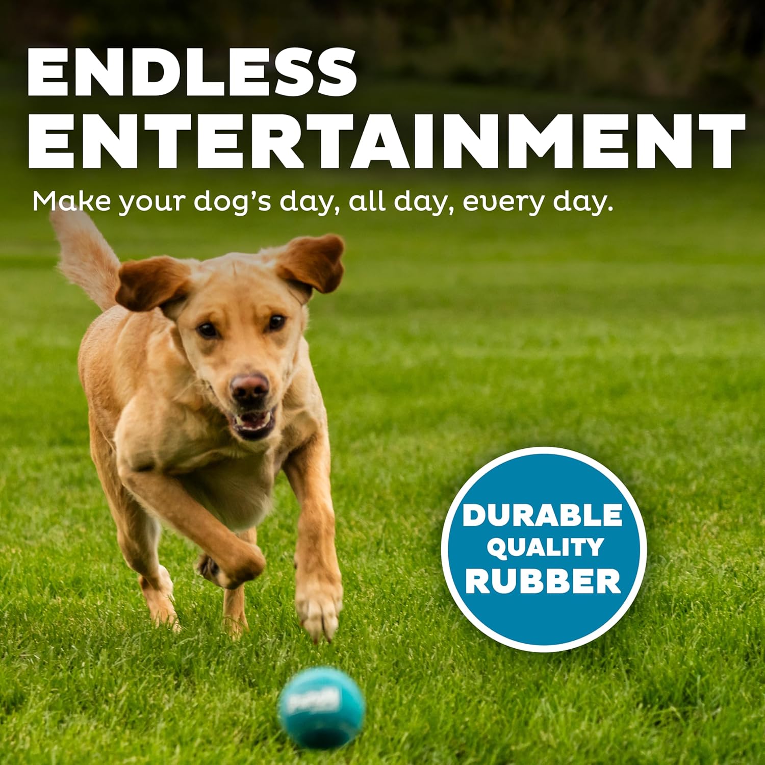 Outward Hound Squeaker Ballz – Squeaky Tennis Balls for Dogs Under 50 lbs, Interactive Dog Toy for Fetch & Training, Medium (2.5"), 4‑Pack