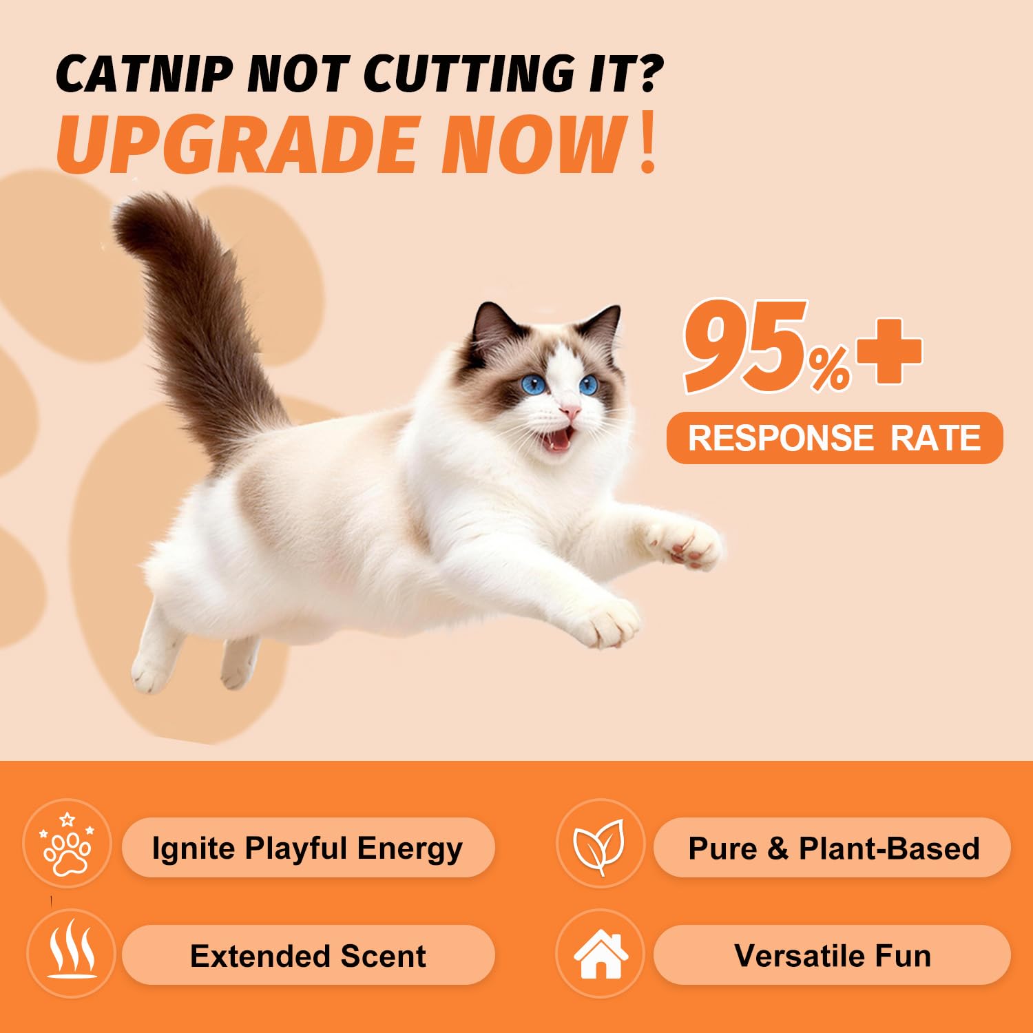 PAW PLANET 2.8 fl.oz. Advanced Catnip Spray with Silvervine for Indoor Cats & Kittens, 95%+ Response Rate, Natural Training & Play Mist