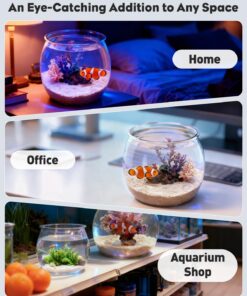 Pawfly 0.5 Gallon Mini Plastic Fish Bowl, Unbreakable Small Fishbowl Desktop Aquarium, Clear Round Plastic Fish Tank for Small Fish, Shatterproof Betta Fish Tank Goldfish Bowl,...