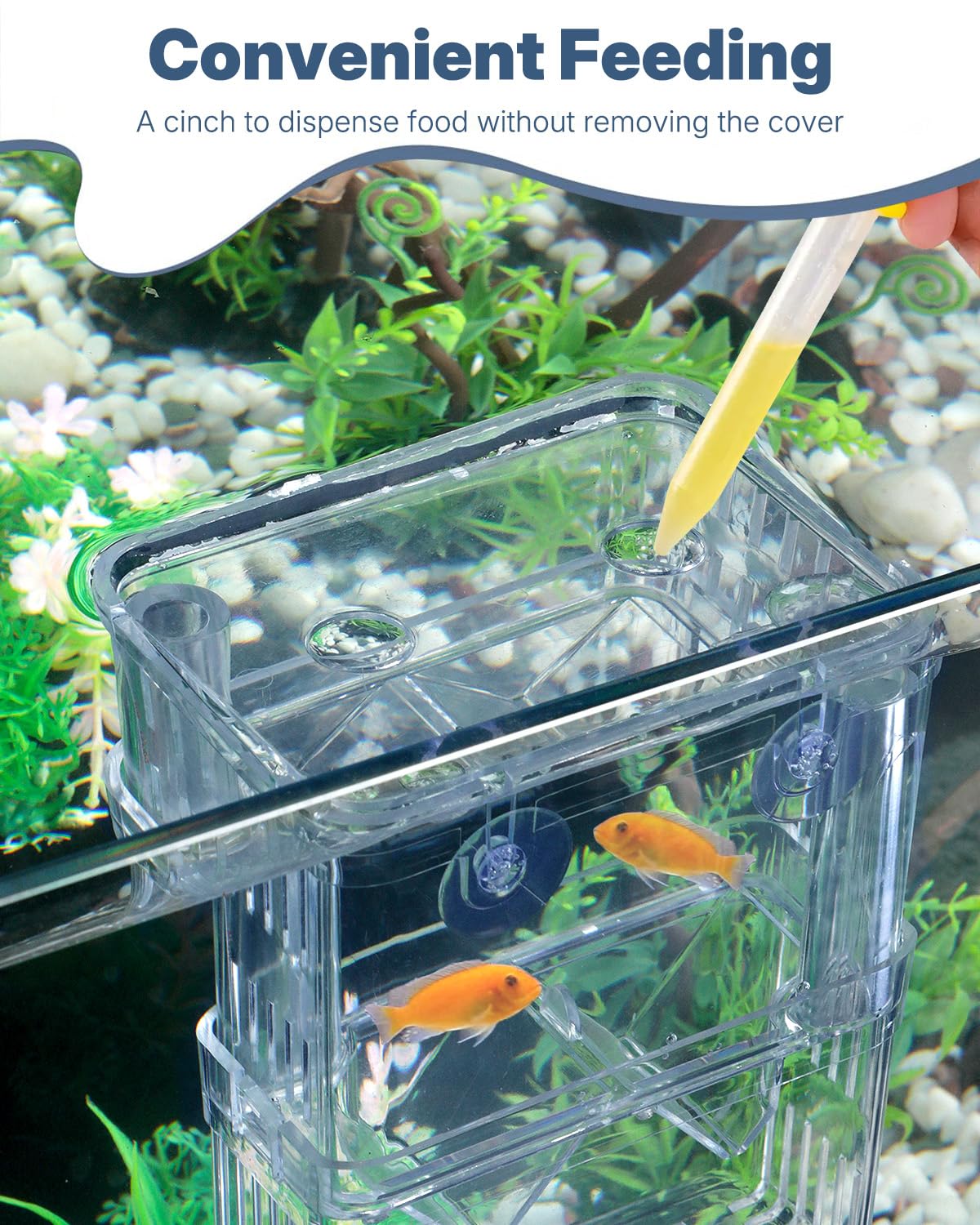 Pawfly Aquarium Breeding Box - Transparent Plastic Breeder Box for Fish Tank, Fry Hatchery Incubator for Baby Fish, Shrimp, Betta, Clownfish, Guppy, Large