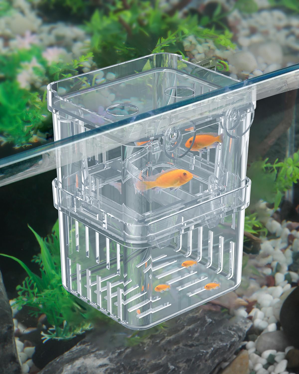 Pawfly Aquarium Breeding Box - Transparent Plastic Breeder Box for Fish Tank, Fry Hatchery Incubator for Baby Fish, Shrimp, Betta, Clownfish, Guppy, Large
