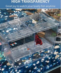 Pawfly Aquarium Fish Breeding Box Acrylic Hatchery Incubator Tank with Suction Cups Medium Isolation Box for Baby Fish Shrimp Betta and Guppy