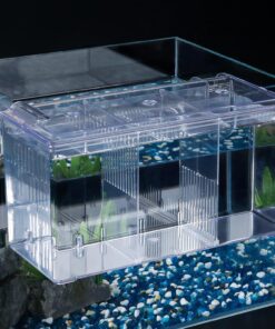Pawfly Aquarium Fish Breeding Box Acrylic Hatchery Incubator Tank with Suction Cups Medium Isolation Box for Baby Fish Shrimp Betta and Guppy
