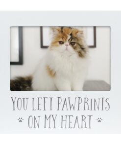 Pearhead Forever Loved Pet Keepsake Picture Frame, Photo Frame for Pet Owners and Dog Lovers, Ideal Memorial Gift for Loss of Dog and Pet Remembrance, Wall Mount And Tabletop...