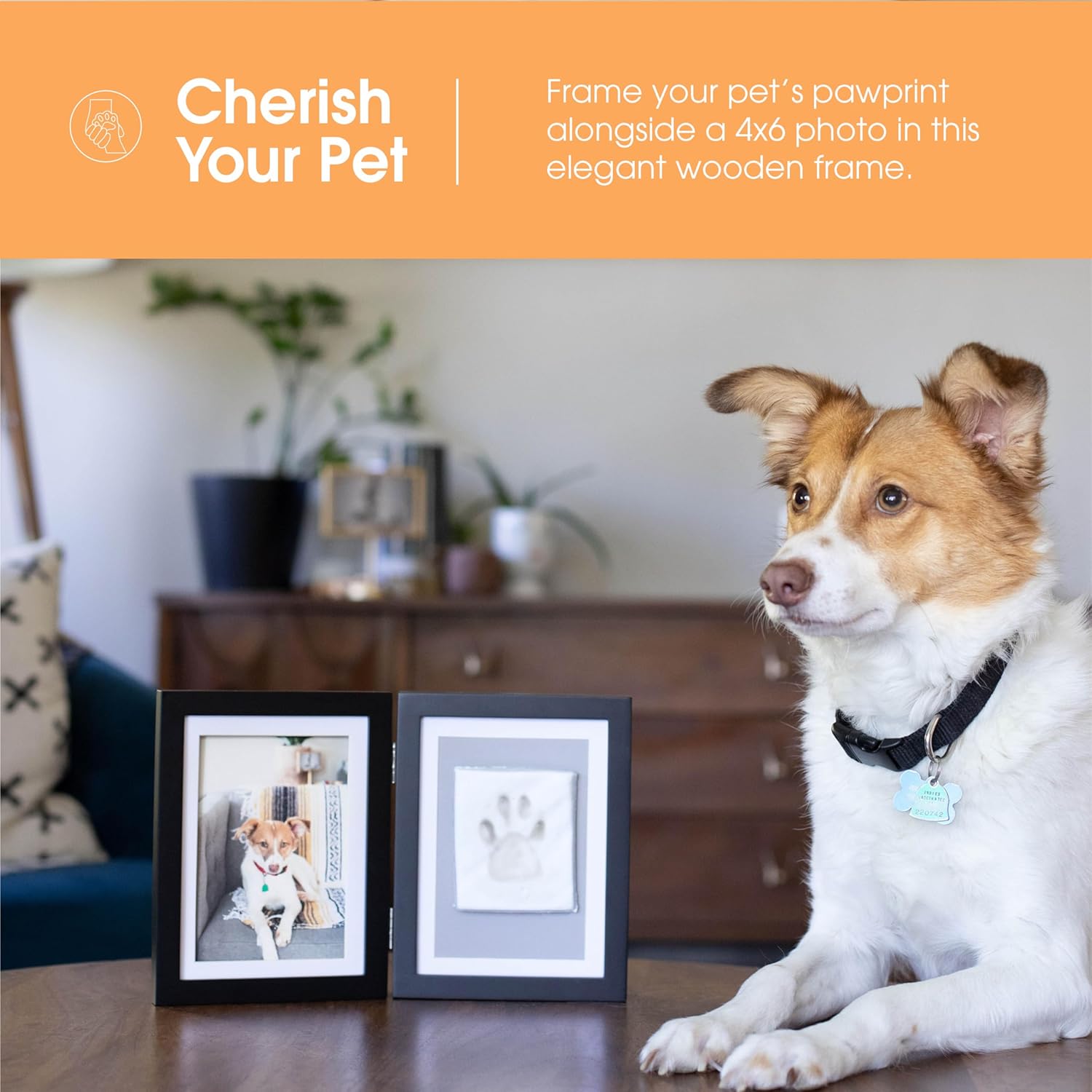 Pearhead Pet Paw Print Photo Frame With Clay Imprint Kit - Wooden Pet Paw Print Frame, DIY Memorial Keepsake for Cats and Dogs, No Mess Clay for Perfect Pawprints, Ideal Home...