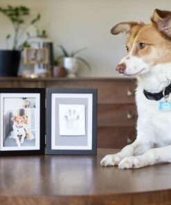 Pearhead Pet Paw Print Photo Frame With Clay Imprint Kit - Wooden Pet Paw Print Frame, DIY Memorial Keepsake for Cats and Dogs, No Mess Clay for Perfect Pawprints, Ideal Home...