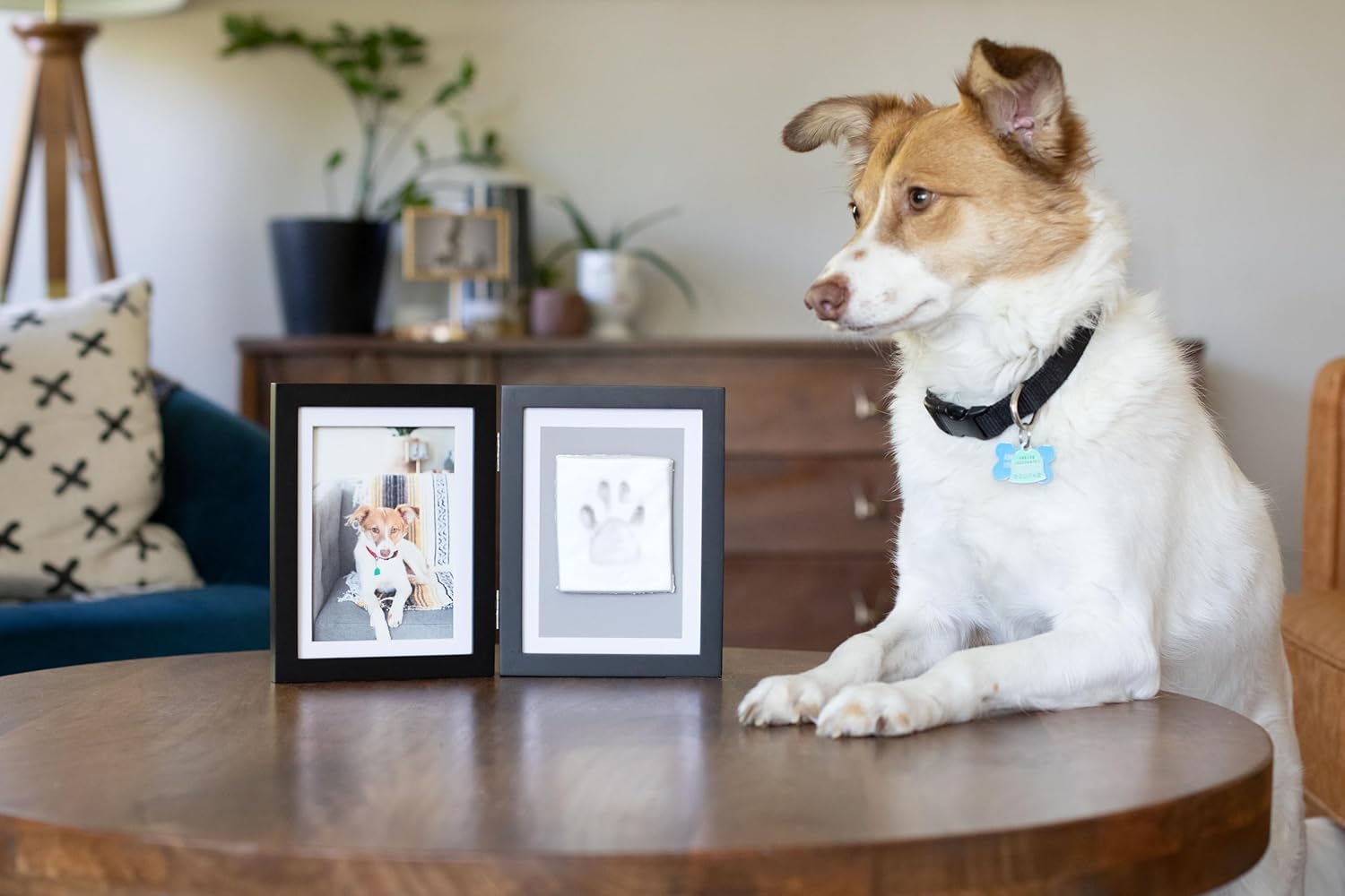 Pearhead Pet Paw Print Photo Frame With Clay Imprint Kit - Wooden Pet Paw Print Frame, DIY Memorial Keepsake for Cats and Dogs, No Mess Clay for Perfect Pawprints, Ideal Home...