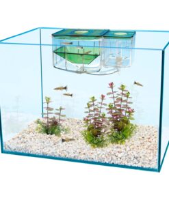 Penn-Plax AN2 Aqua Nursery and Hatchery Breeding Box for Your Aquarium - Help Protect Baby Fish from Predators