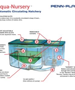 Penn-Plax AN2 Aqua Nursery and Hatchery Breeding Box for Your Aquarium - Help Protect Baby Fish from Predators