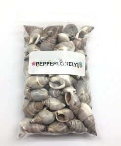 PEPPERLONELY Brown Marginellas Hermitcrab Sea Shells, 6 OZ Approx. 100+PC Shells, 1 Inch ~ 1-1/2 Inch