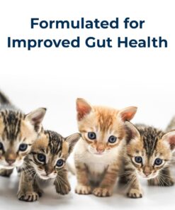 Pet-Ag KMR Kitten Milk Replacer Liquid - 11 oz - Ready-to-Feed Kitten Formula with Vitamins for Kittens Newborn to Six Weeks Old - Easy to Digest
