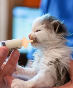 Pet Feeding Syringe with Nipple, Silicone Feeding Tools for Kitten Puppy Feeding Syringe for Newborn Cat Dog Small Animals Rabbits (5ml+10ml +10 nipples)