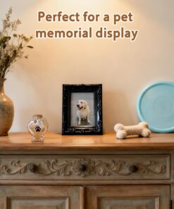 Pet Memorial Gift for Loss of Dog or Cat, Heart Shape Glass Jar & Bottle for Fur, Hair, Whiskers or Ashes Keepsake Urn with Cork Top, Charms for Cute Rainbow Bridge Memorial, Dog