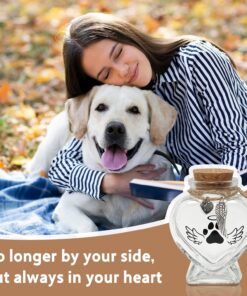 Pet Memorial Gift for Loss of Dog or Cat, Heart Shape Glass Jar & Bottle for Fur, Hair, Whiskers or Ashes Keepsake Urn with Cork Top, Charms for Cute Rainbow Bridge Memorial, Dog