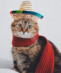 Pet Straw Hat Funny Mexican Sombrero Cap Party Decorations Cinco De Mayo Pet Hats for Small Pets/Puppy/Cat