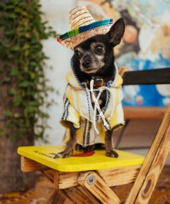 Pet Straw Hat Funny Mexican Sombrero Cap Party Decorations Cinco De Mayo Pet Hats for Small Pets/Puppy/Cat