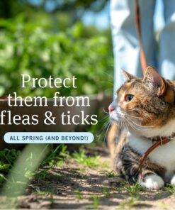 PetArmor Plus Flea and Tick Prevention for Cats over 1.5 lbs, Cat Flea and Tick Treatment, 6 Doses, Waterproof Topical, Fast Acting