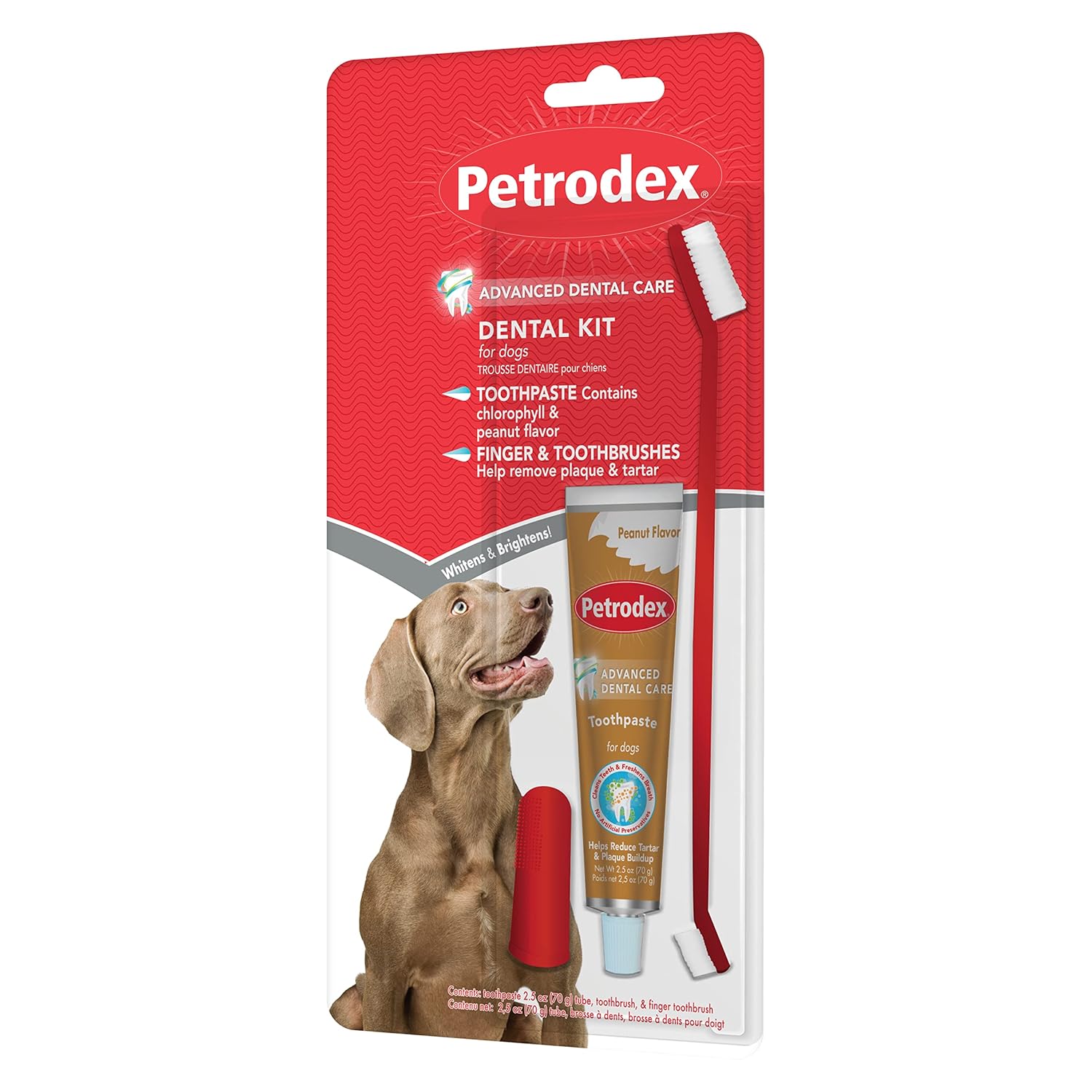 Petrodex Dental Care Kit for Cats, Cat Toothbrush and Toothpaste, Cleans Teeth and Fights Bad Breath, Reduces Plaque Tartar Formation, Malt Flavor, 2.5oz Toothpaste + Toothbrush