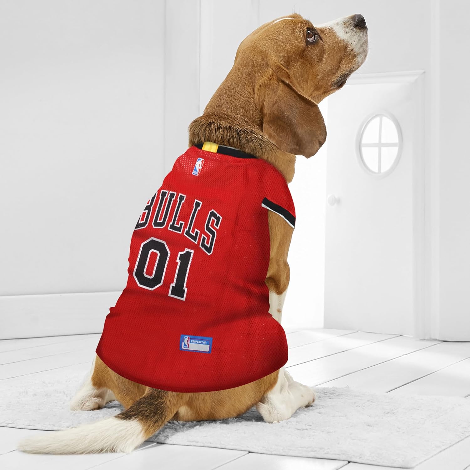 Pets First NBA CHICAGO BULLS DOG Jersey, Medium - Tank Top Basketball Pet Jersey