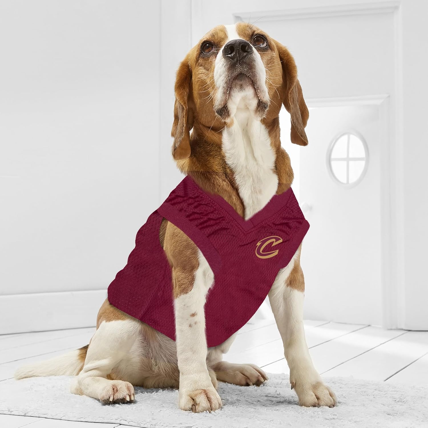 Pets First NBA CLEVELAND CAVALIERS DOG Jersey, Medium - Tank Top Basketball Pet Jersey