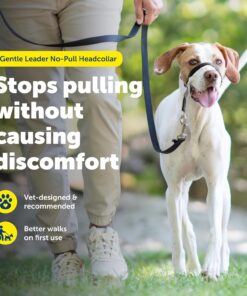 PetSafe Gentle Leader No-Pull Dog Headcollar - The Ultimate Solution to Pulling - Redirects Your Dog's Pulling for Easier Walks - Helps You Regain Control - Medium, Black