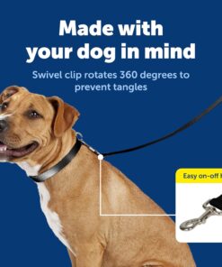 PetSafe Nylon Dog Leash Strong, Durable, Traditional Style Lead with Easy to Use Bolt Snap for Small, Medium and Large Dogs 3/8