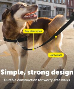 PetSafe Nylon Dog Leash Strong, Durable, Traditional Style Lead with Easy to Use Bolt Snap for Small, Medium and Large Dogs 3/8