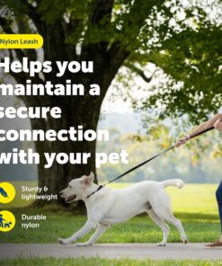 PetSafe Nylon Dog Leash Strong, Durable, Traditional Style Lead with Easy to Use Bolt Snap for Small, Medium and Large Dogs 3/8