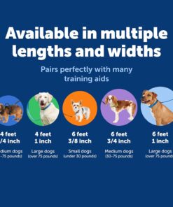 PetSafe Nylon Dog Leash Strong, Durable, Traditional Style Lead with Easy to Use Bolt Snap for Small, Medium and Large Dogs 3/8