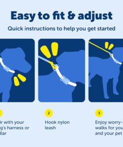 PetSafe Nylon Dog Leash Strong, Durable, Traditional Style Lead with Easy to Use Bolt Snap for Small, Medium and Large Dogs 3/8