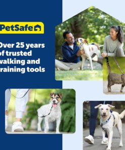 PetSafe Nylon Dog Leash Strong, Durable, Traditional Style Lead with Easy to Use Bolt Snap for Small, Medium and Large Dogs 3/8