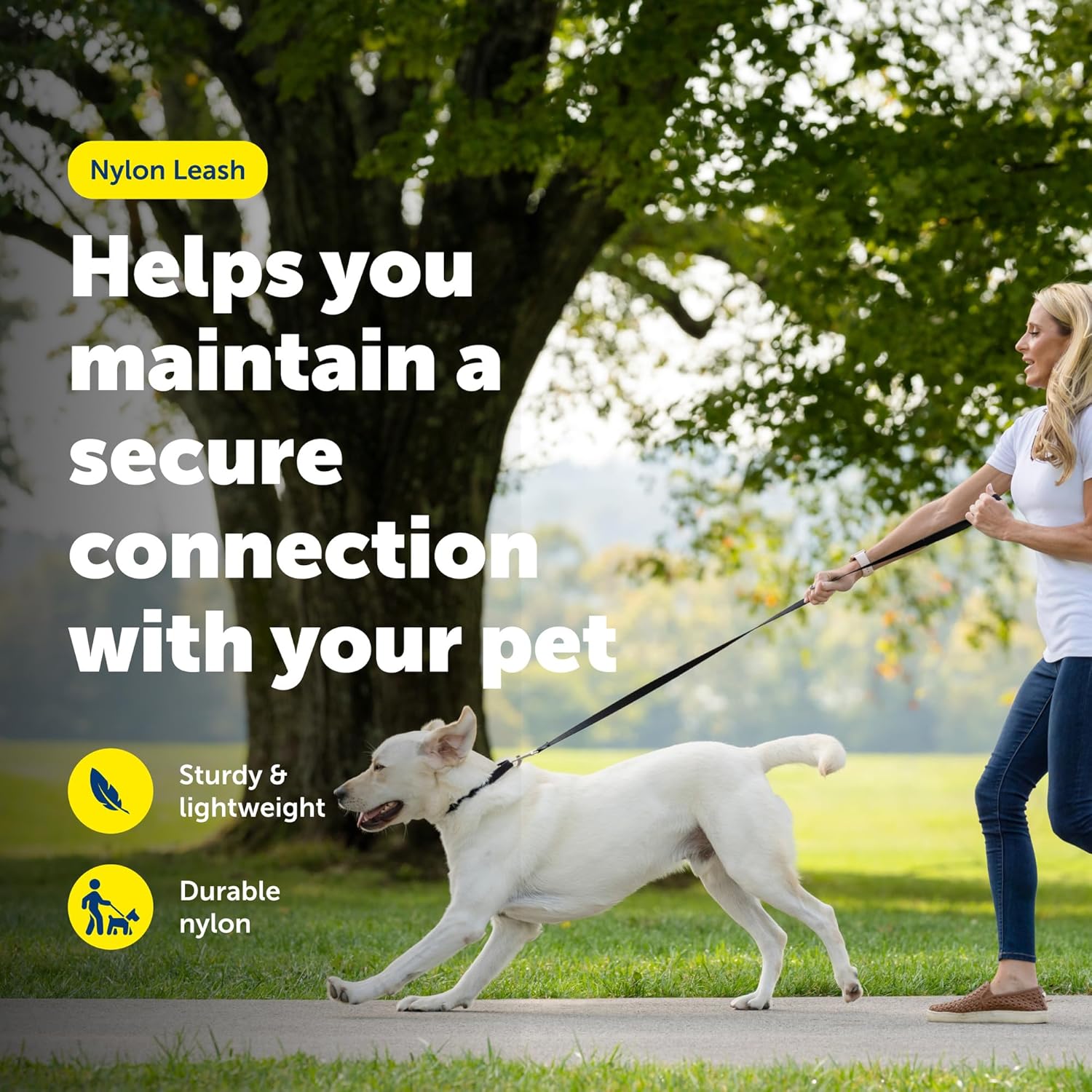 PetSafe Nylon Dog Leash Strong, Durable, Traditional Style Lead with Easy to Use Bolt Snap for Small, Medium and Large Dogs 3/8" x 6', Black