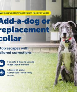PetSafe Wireless Pet Fence Containment System Receiver Collar Only for Dogs and Cats Over 5 lb., Waterproof with Tone and Static Correction - from The Parent Company of...