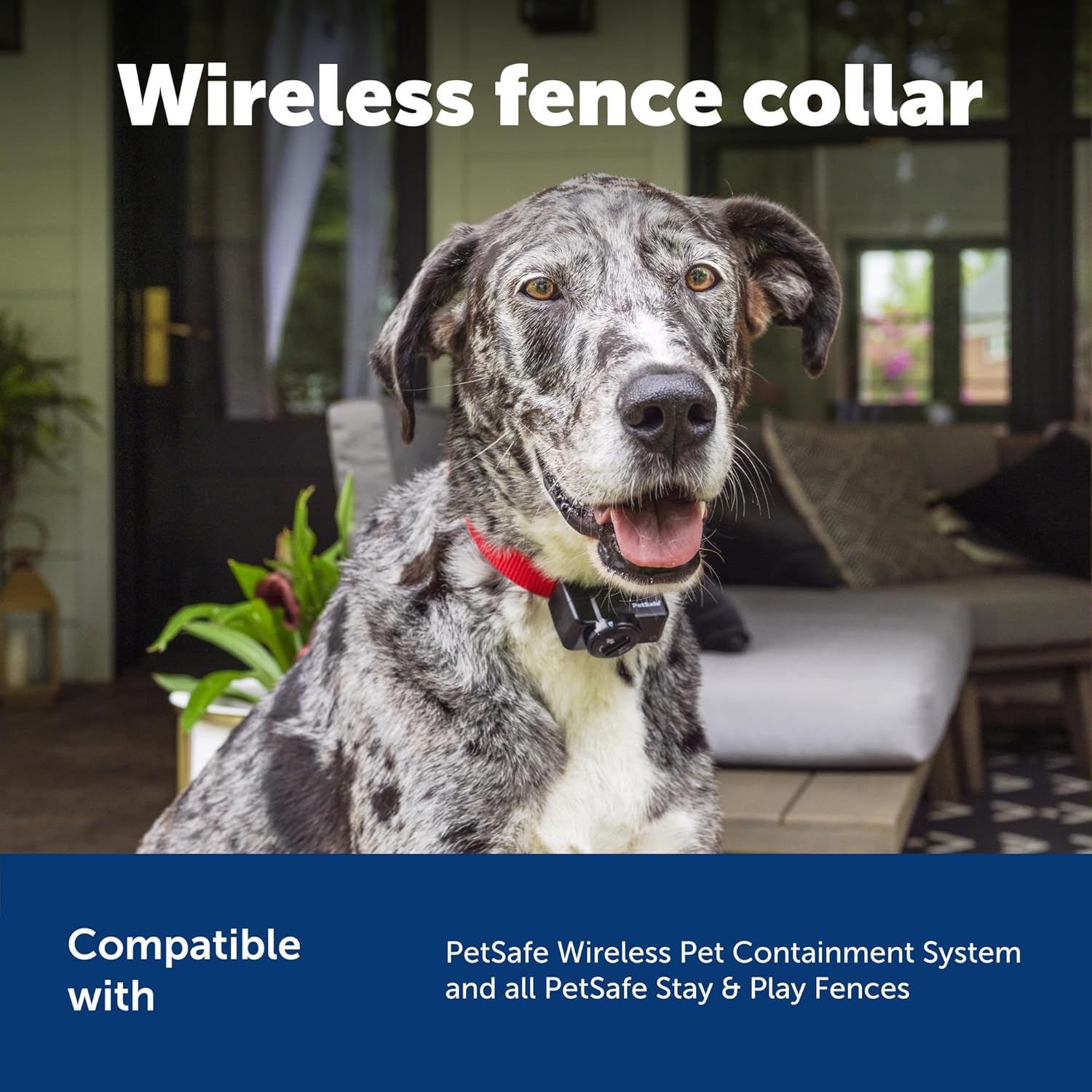 PetSafe Wireless Pet Fence Containment System Receiver Collar Only for Dogs and Cats Over 5 lb., Waterproof with Tone and Static Correction - from The Parent Company of...